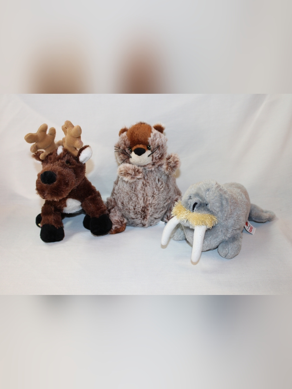 Ganz Webkinz Lot- Reindeer, Groundhog, Walrus